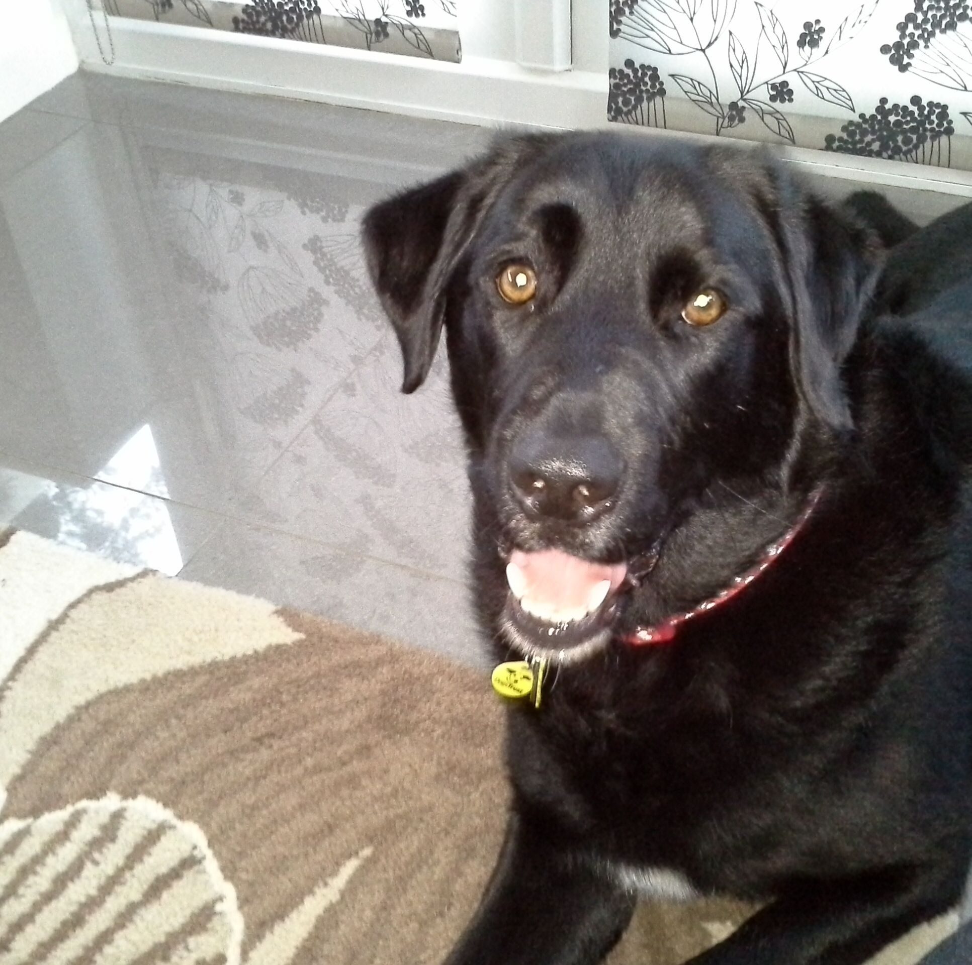 Pam Holmes Facebook picture